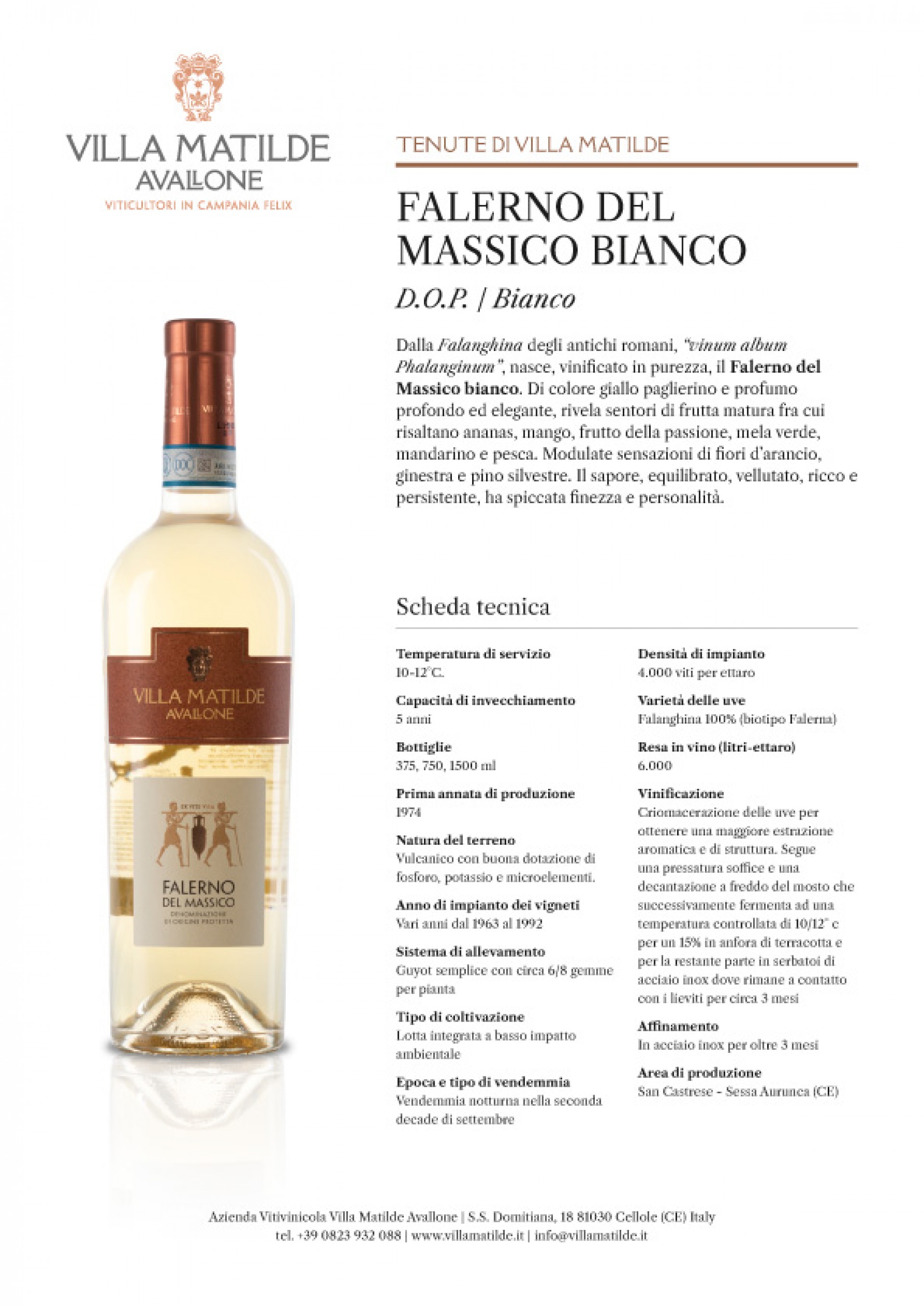 Falerno del Massico Bianco