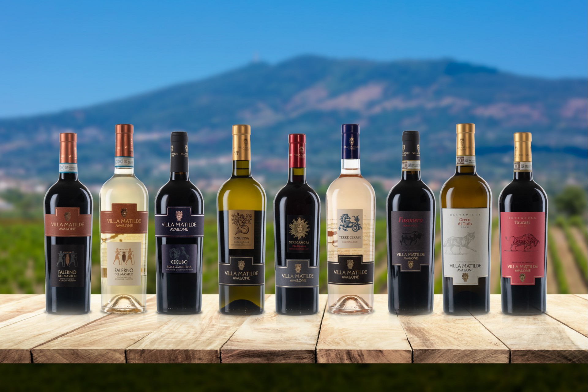 I nostri vini